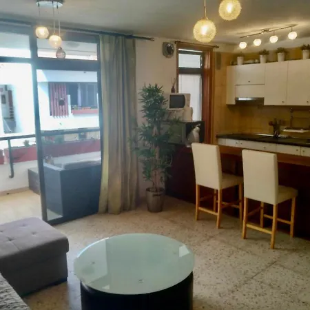 Duplex In Edificio Altemar *